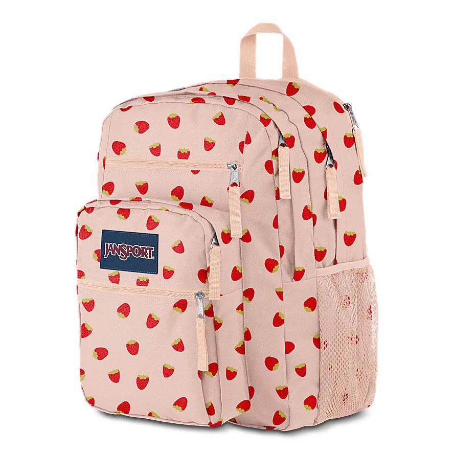 Sac à Dos Ordinateur JanSport BIG STUDENT Rose | YGW-03934061